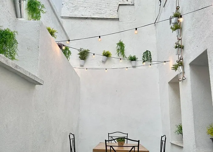 El Piso Del Patio Chico 아파트 *